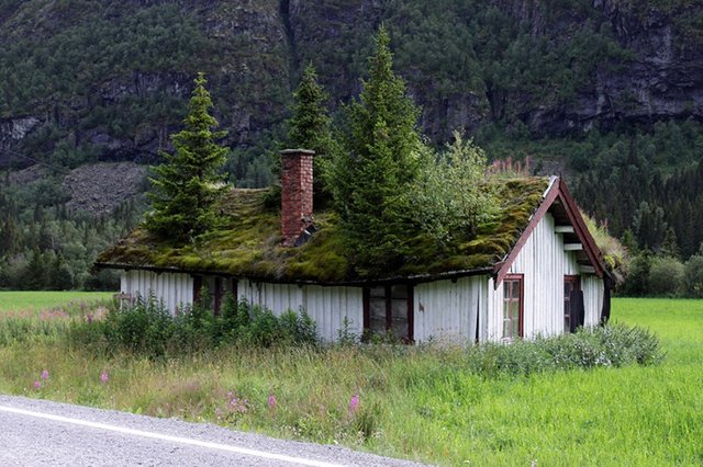 green-roof-norway.jpg