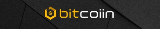 bitcoiin b2g-banner.jpg