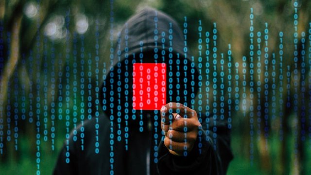 hacker_boy_pixabay_1494927413019.jpg
