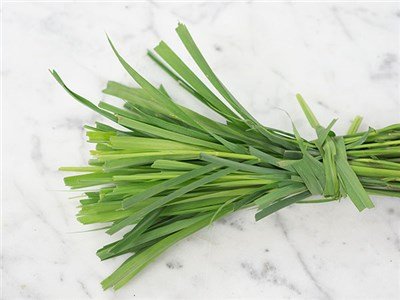 Herb-Lemon-Grass-HB162-DSC06224.jpg