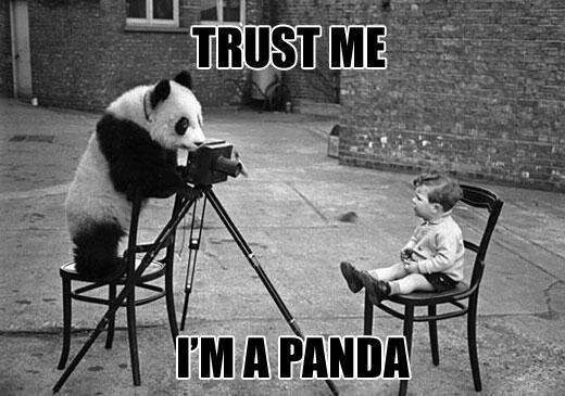 panda_short_html_b7a2db9a.jpg