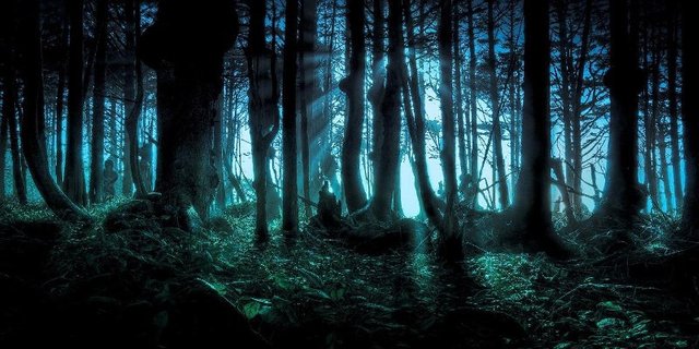 terror-bosque_800x400.jpg