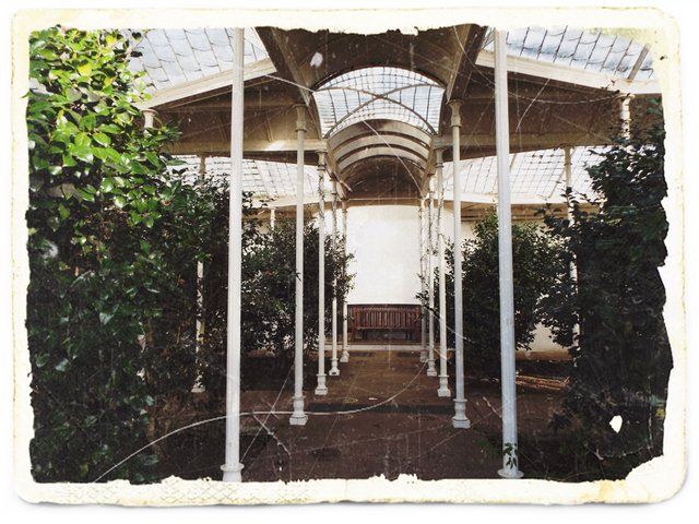 orangery inside 2.JPG