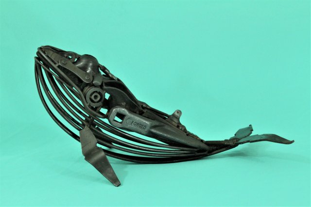 Whale1.jpg