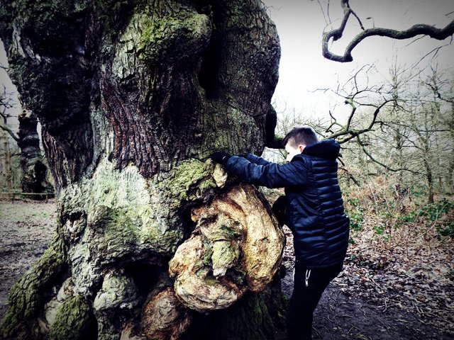 tree climbing.JPG