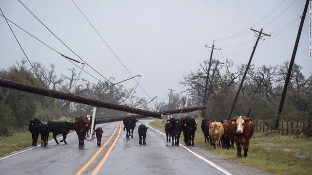 Hurricane harvey6.jpg