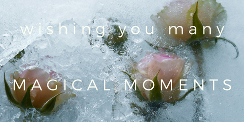 MAGICAL MOMENTS copy 2.png