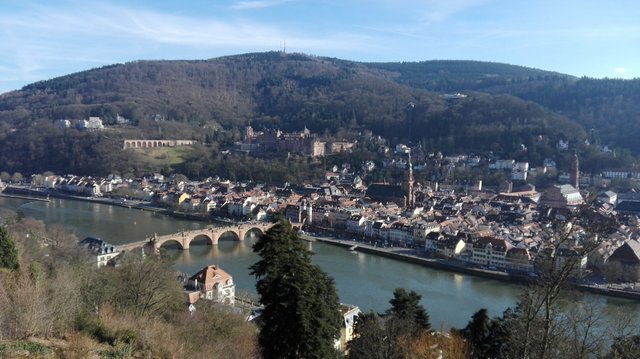 Heidelberg_philo_view.jpg