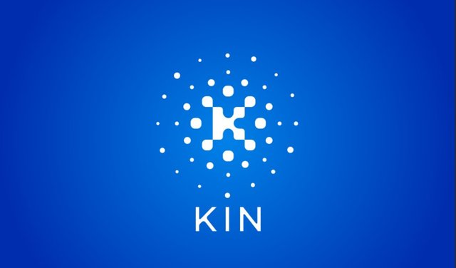 kin.jpg