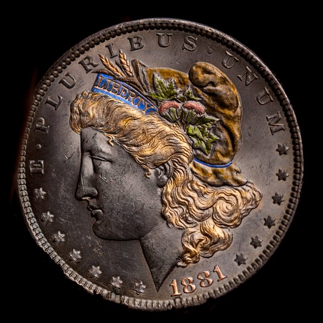 dollar1881scr.jpg