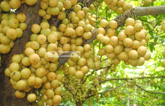 Narsingdi-Latcon-120160712064603.jpg