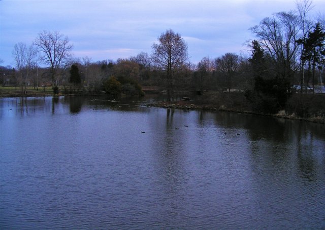 Clague Park.JPG