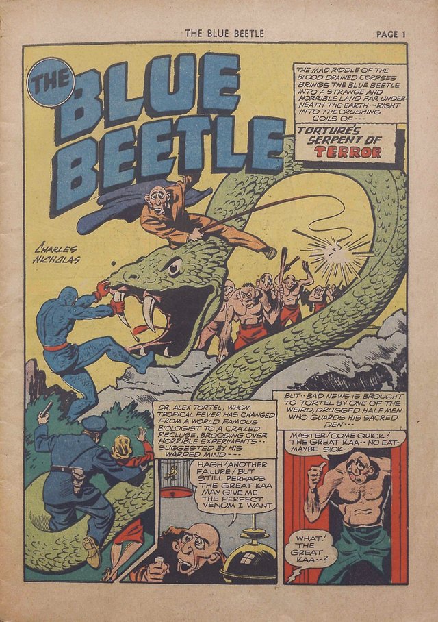 Blue Beetle 0012.jpg