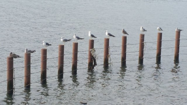 20170730_164440.jpg