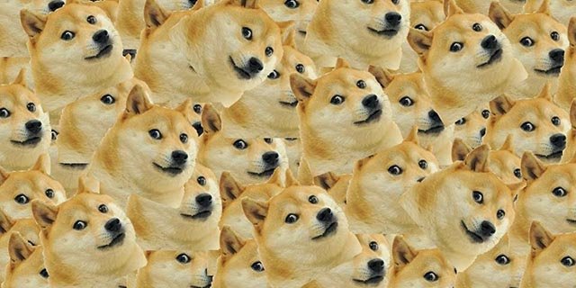 dogecoin-community-users.jpg