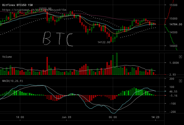 bitfinex-btcusd-Jan-09-2018-12-30-37.png