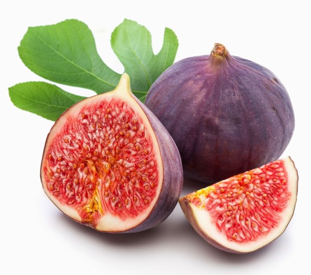 Fig.jpg