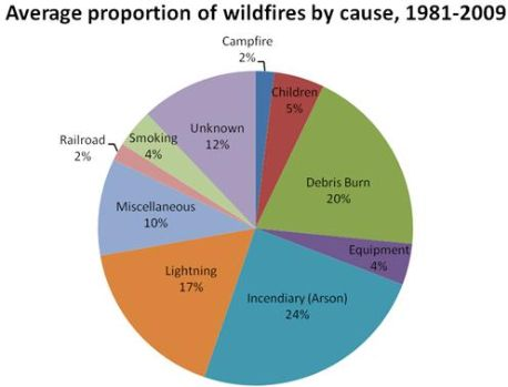 causes of forest fires