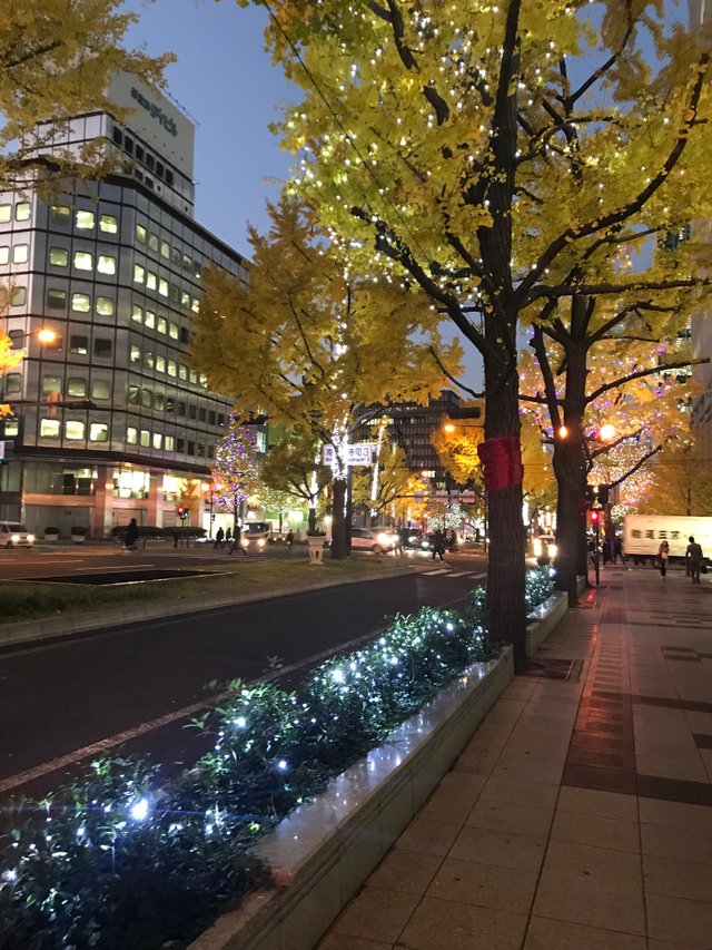 DE0BD84D-17C0-4B3F-B361-87D88AA5411E.jpeg