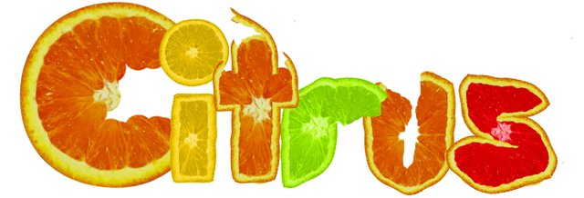 Citrus-font.jpg