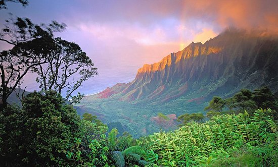 kauai.jpg