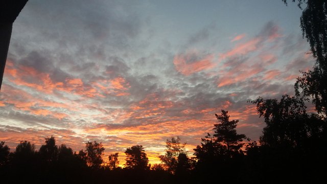 20160623_034501.jpg