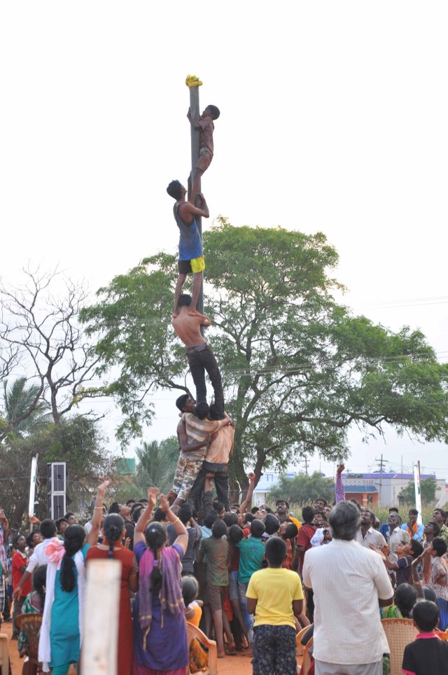DSC_0263.jpg