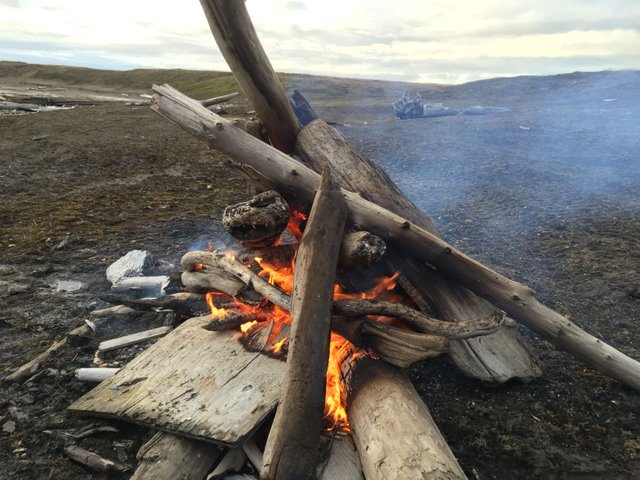 Driftwood Bonfire