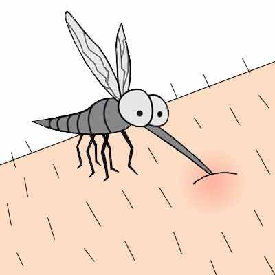 picadura-mosquito.jpg