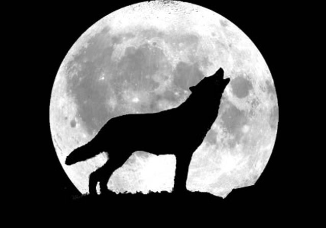 howling wolf 2.jpg