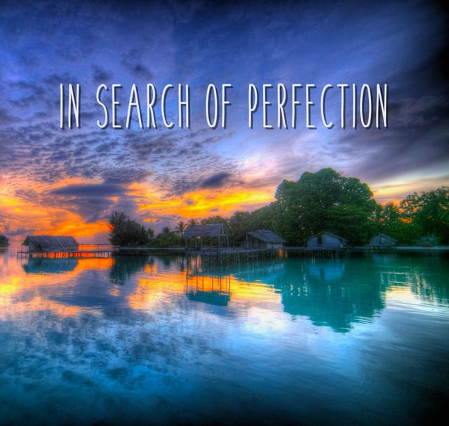 in search of perfection.jpg