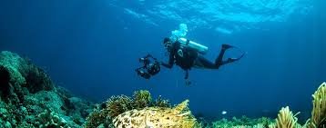 List Of Places And Destinations Of Underwater Parks In