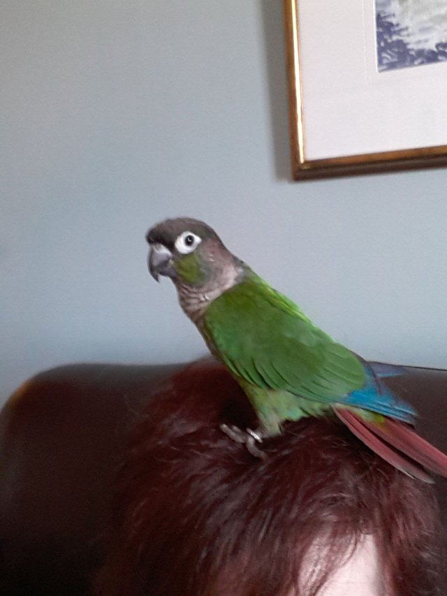 20180509_085741.jpg