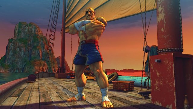 Beautiful Bay Street Fighter IV Sagat.jpg