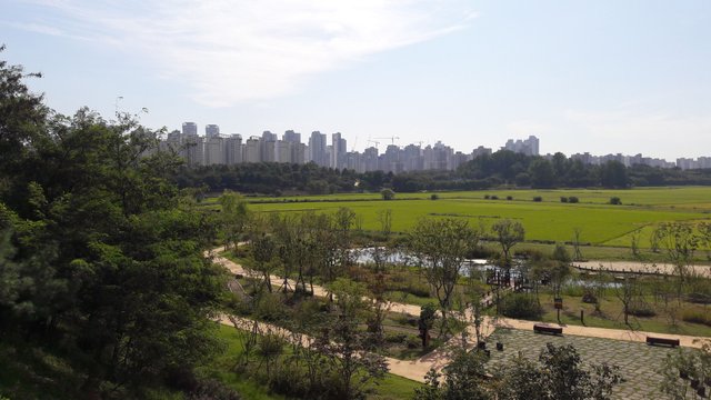 20170914_145753.jpg