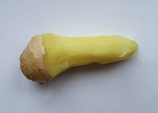 Ginger_Finger_for_Figging (1).jpg