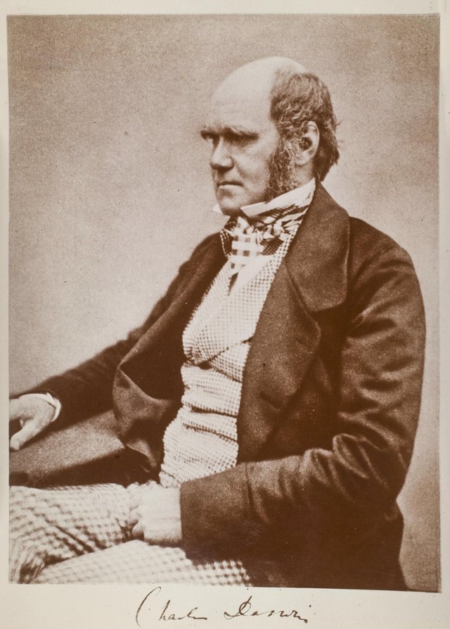 Charles_Darwin_seated.jpg