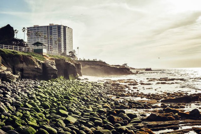 Travel Diary California La Jolla Cove & Seaport Village (17).jpg