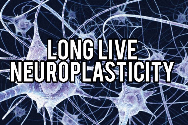 Neuroplasticity.jpg