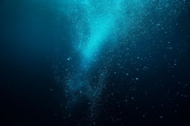 fondo-del-mar-acidificacion.jpg