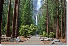 lower-yosemite-falls-trailhead-220w.jpg