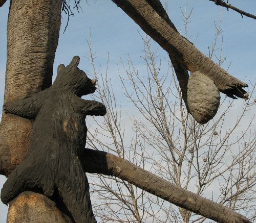 Wilderness Pole-Bear.jpg