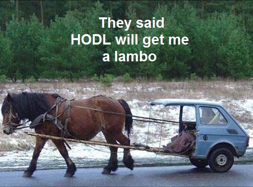 hodl lambo.jpg