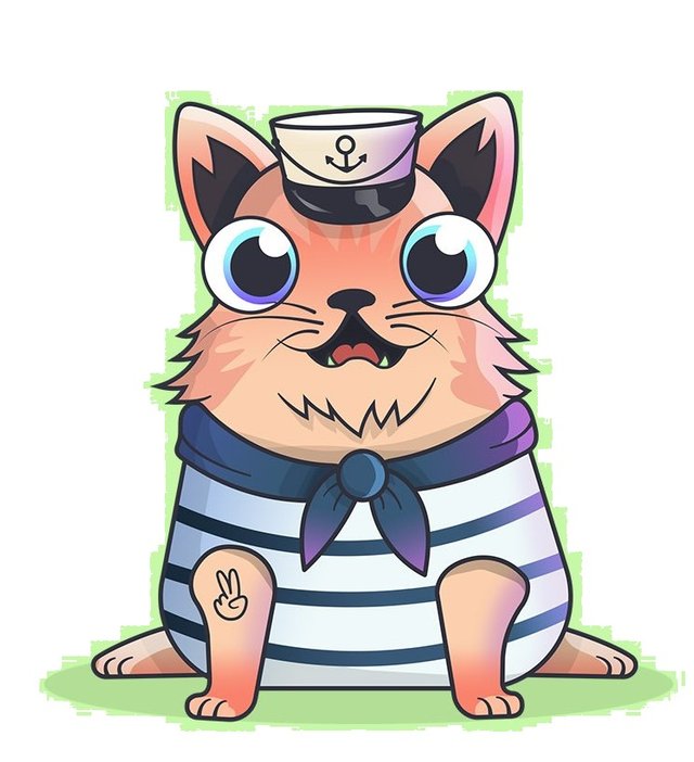 ship kitty.jpg