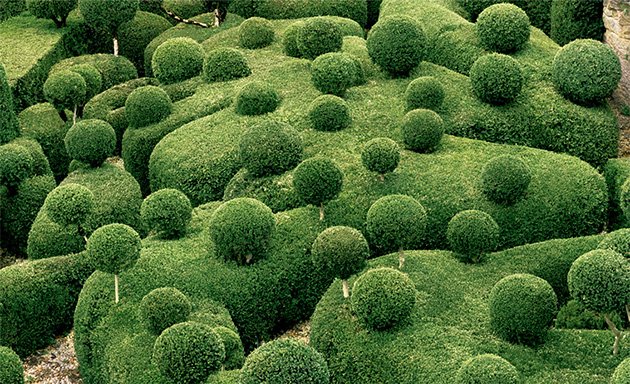 Marqueyssac-Topiary-Gardens-1.jpg