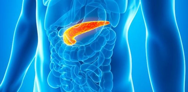 pancreas-700x345.jpg