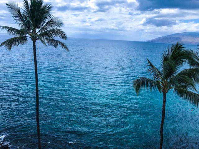 hawaii pic 7.jpg