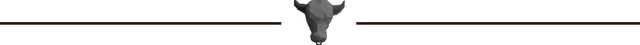 paperbull BW.png