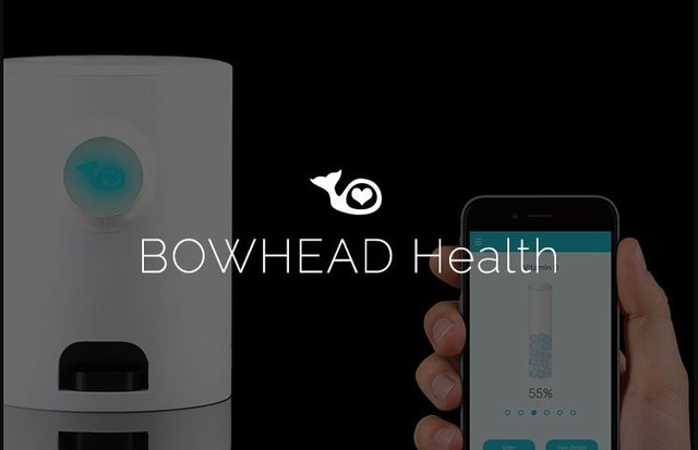 bowhead-health.jpg