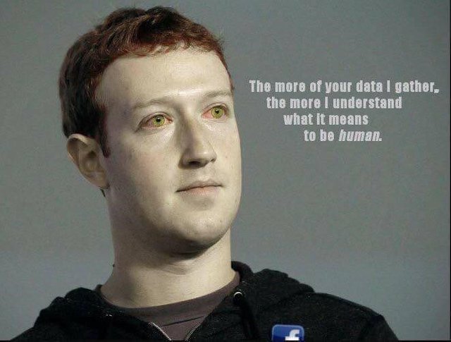 zuckerberg.jpeg